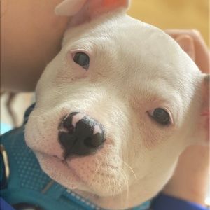 Meet your Posher, Heather